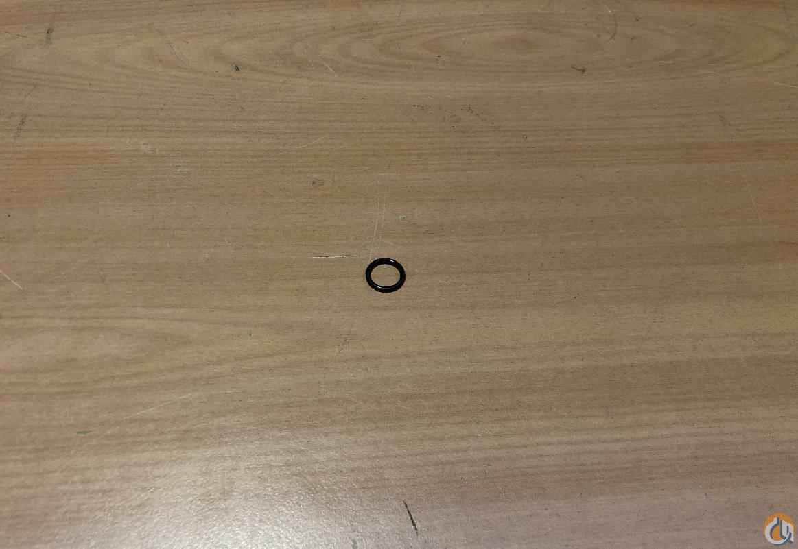 7755906002 - O-RING