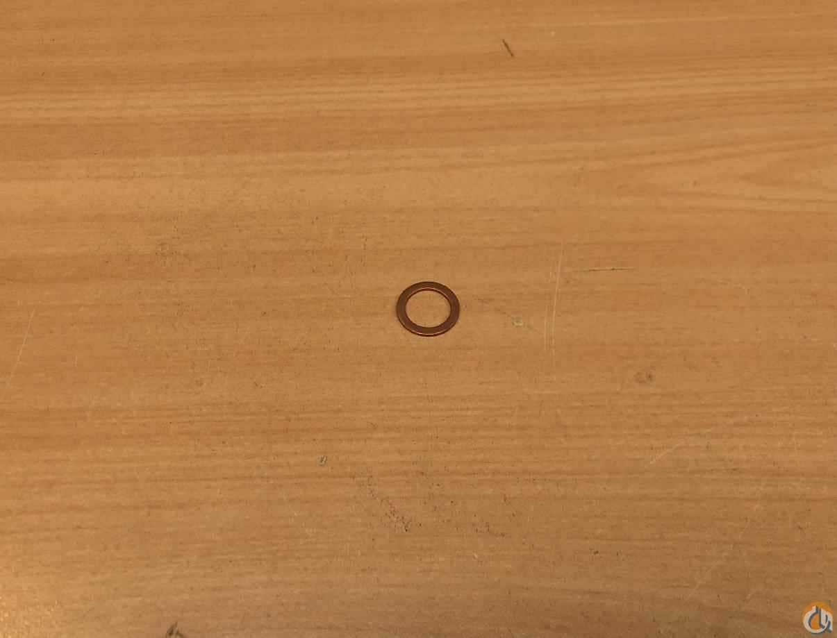 117132 - SEALING RING