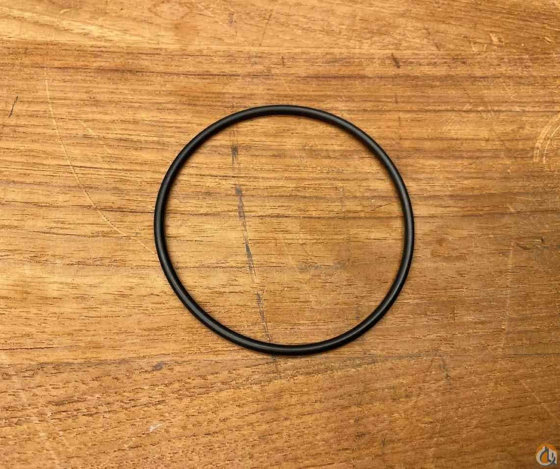 559821 - O-RING