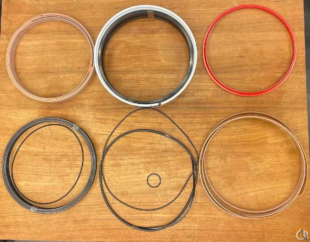 2313259 - SET OF SEALS FOR DERRICKING CYLINDER