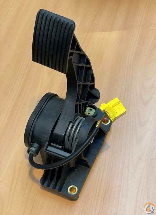 2311862 - PEDAL