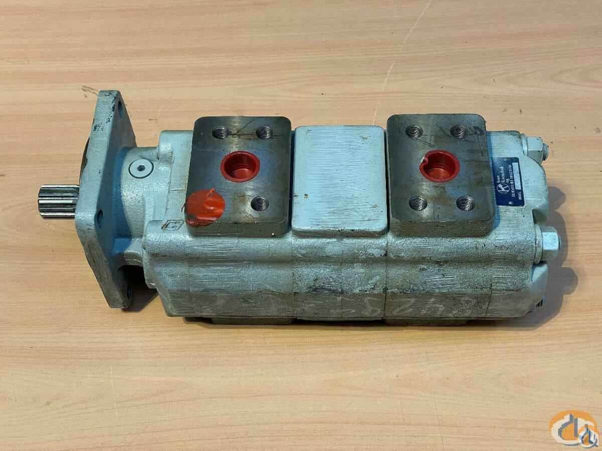 8429989 - MOTOR