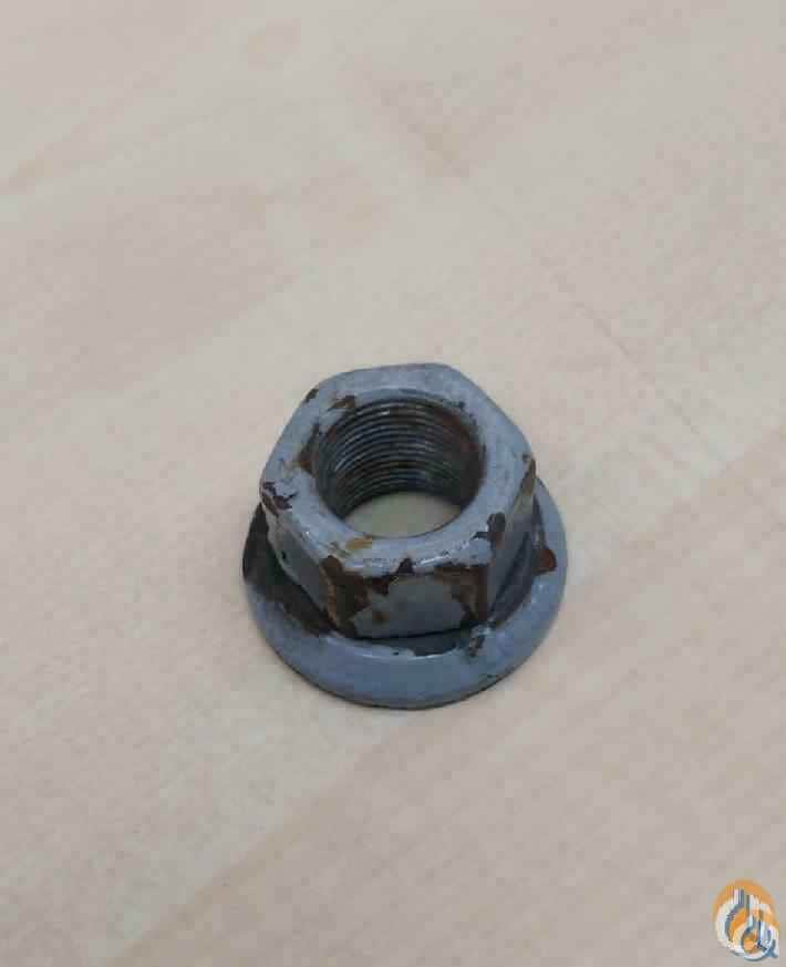 1207756 - WHEEL NUT