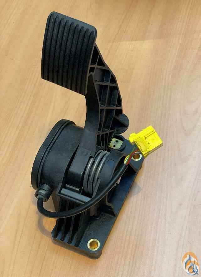 2311862 - PEDAL