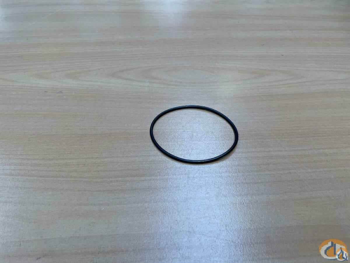 4161644 - O-RING