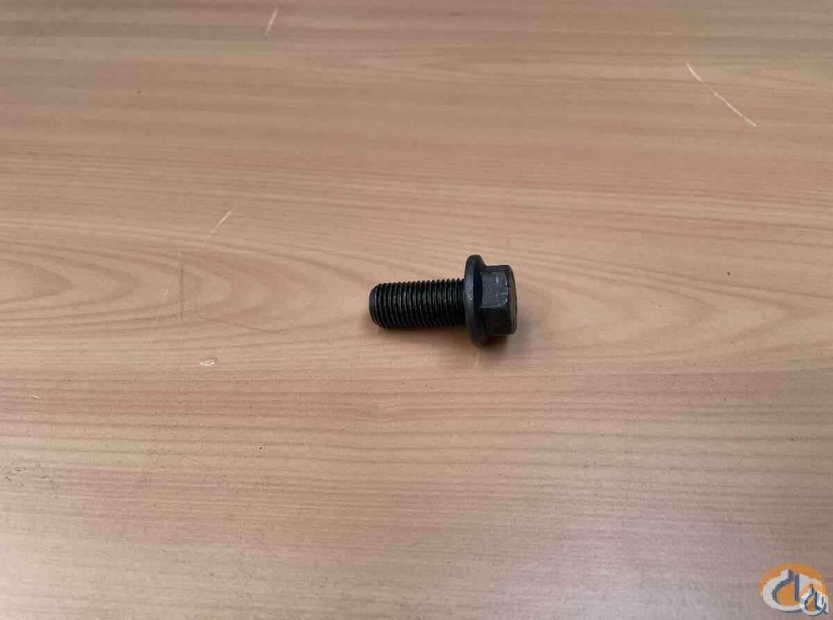 3316921 - SAFETY SCREW