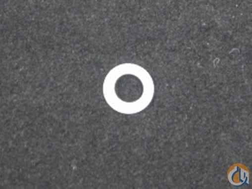 Tadano Lock Washer