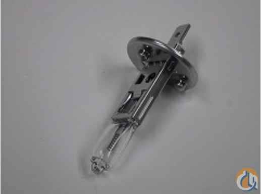 Tadano Bulb