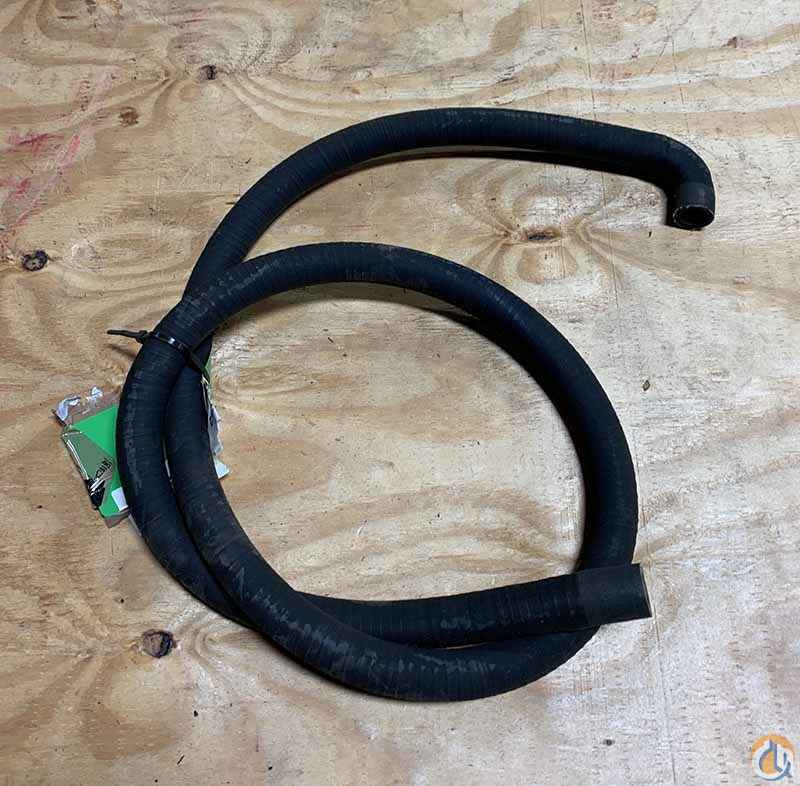 Harness