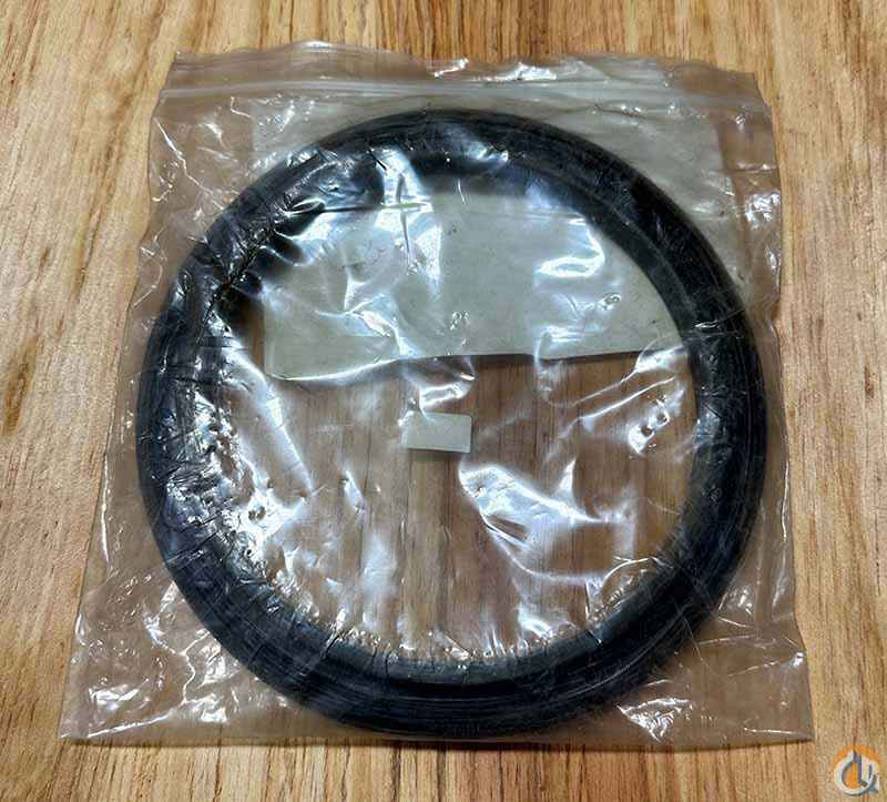 Oil Seal