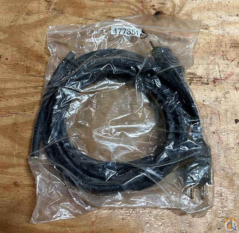 Harness