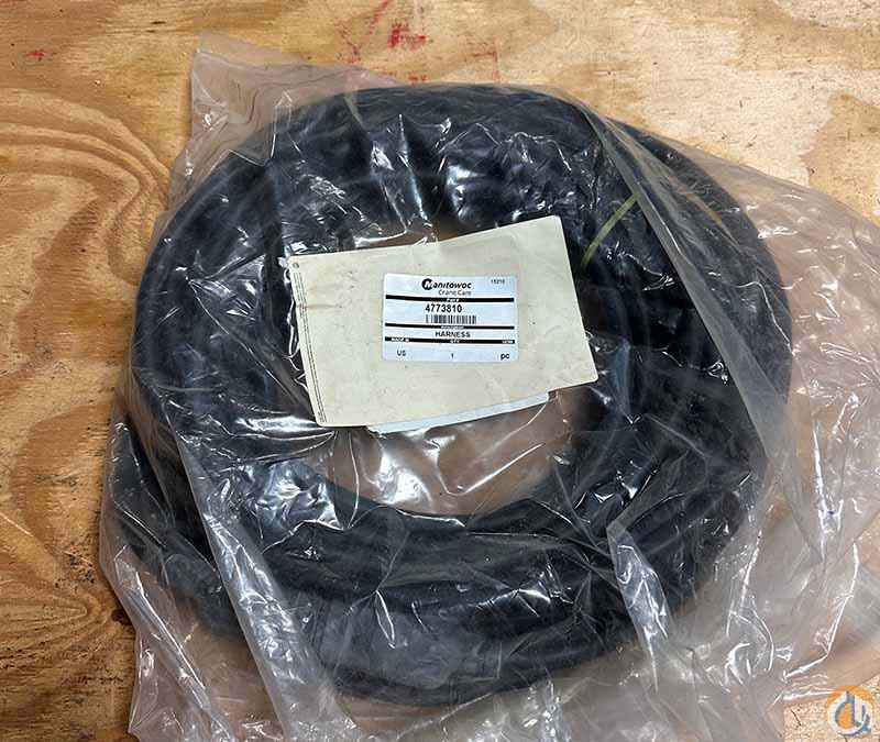 Harness