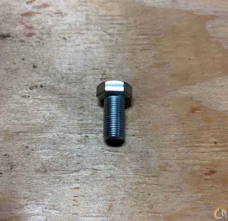 Bolt HHCS 1/2