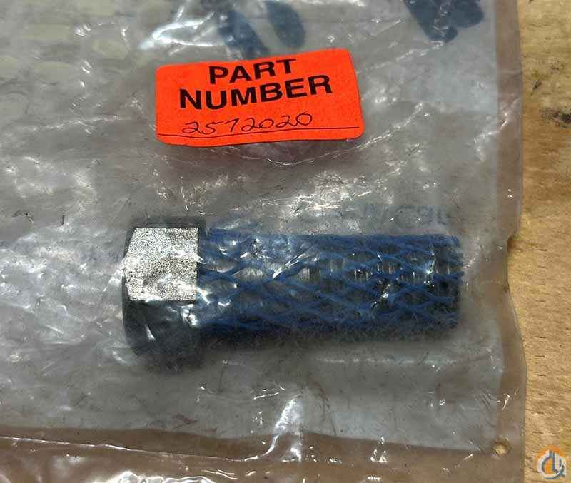Bolt HHCS 1/2
