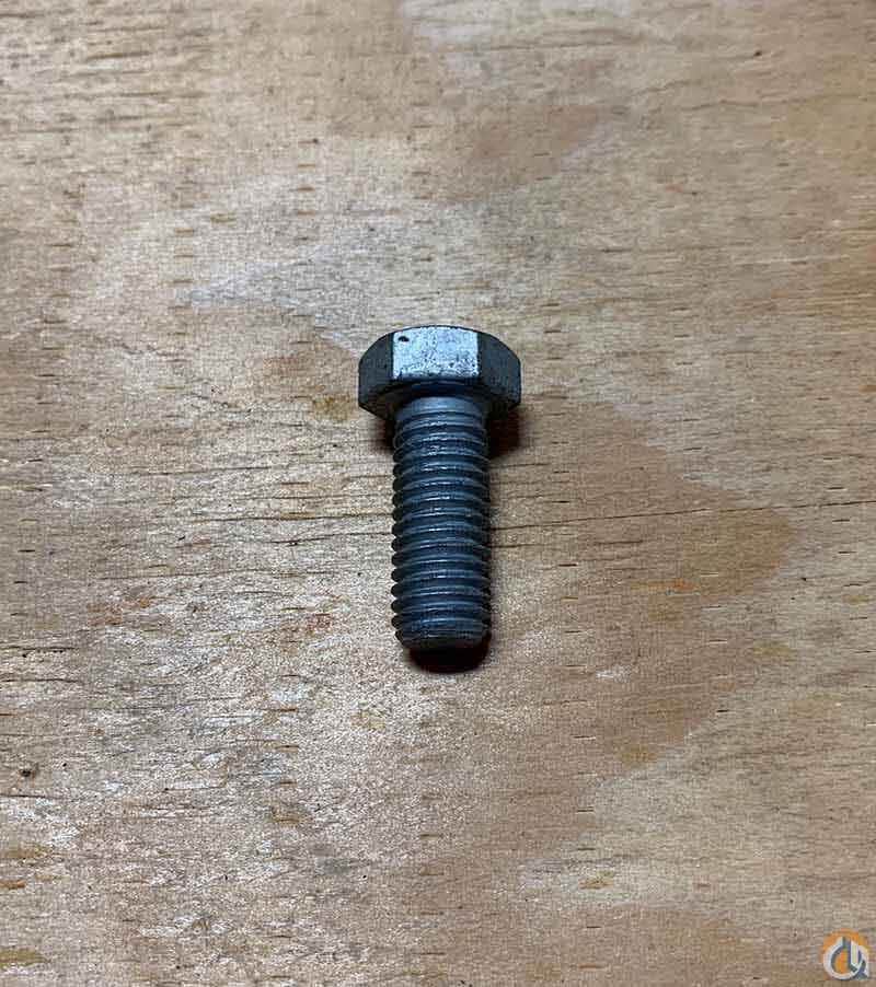 Bolt HHCS 1/2
