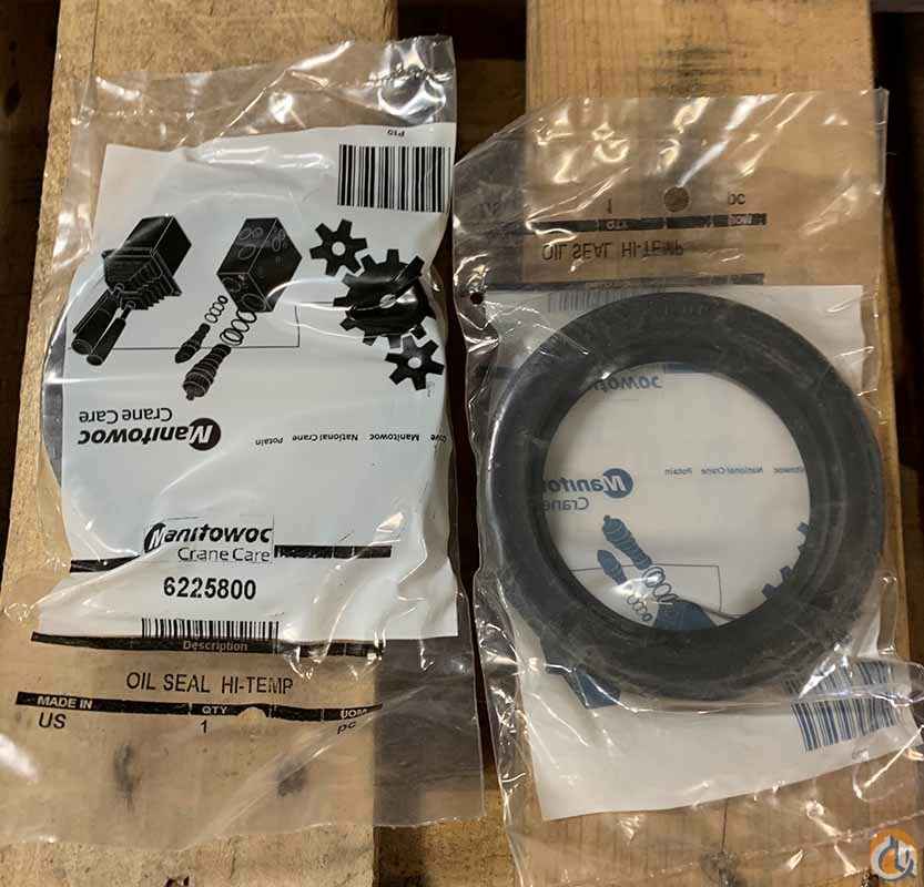 Oil Seal
