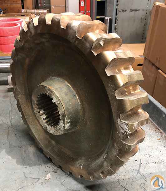 23330 - Worm Wheel