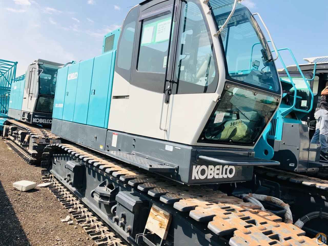 CK1000