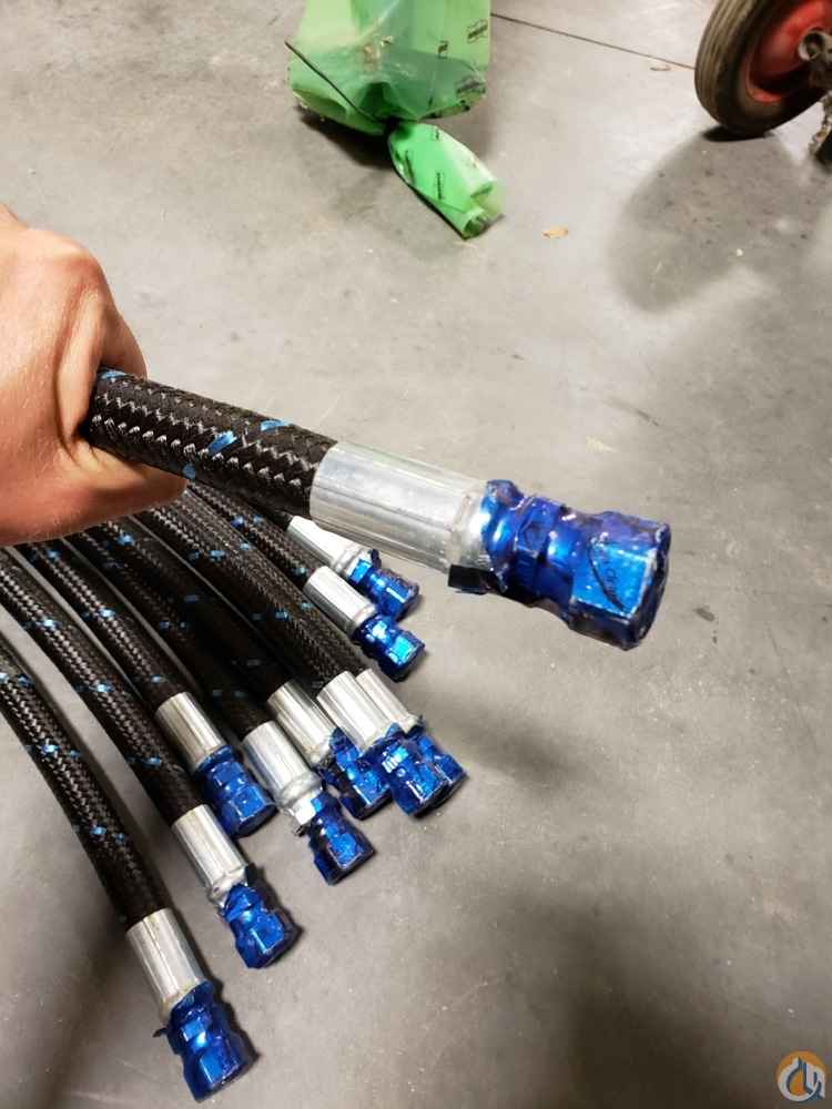 NEW HOSES FOR GROVE