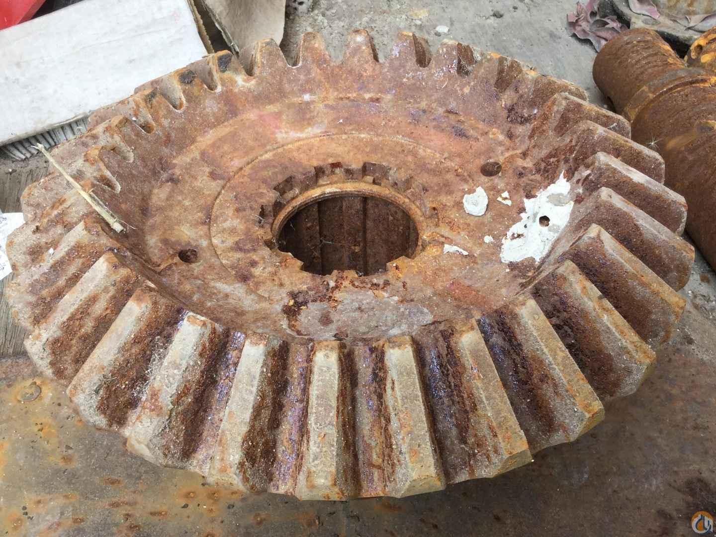 181706 Gear