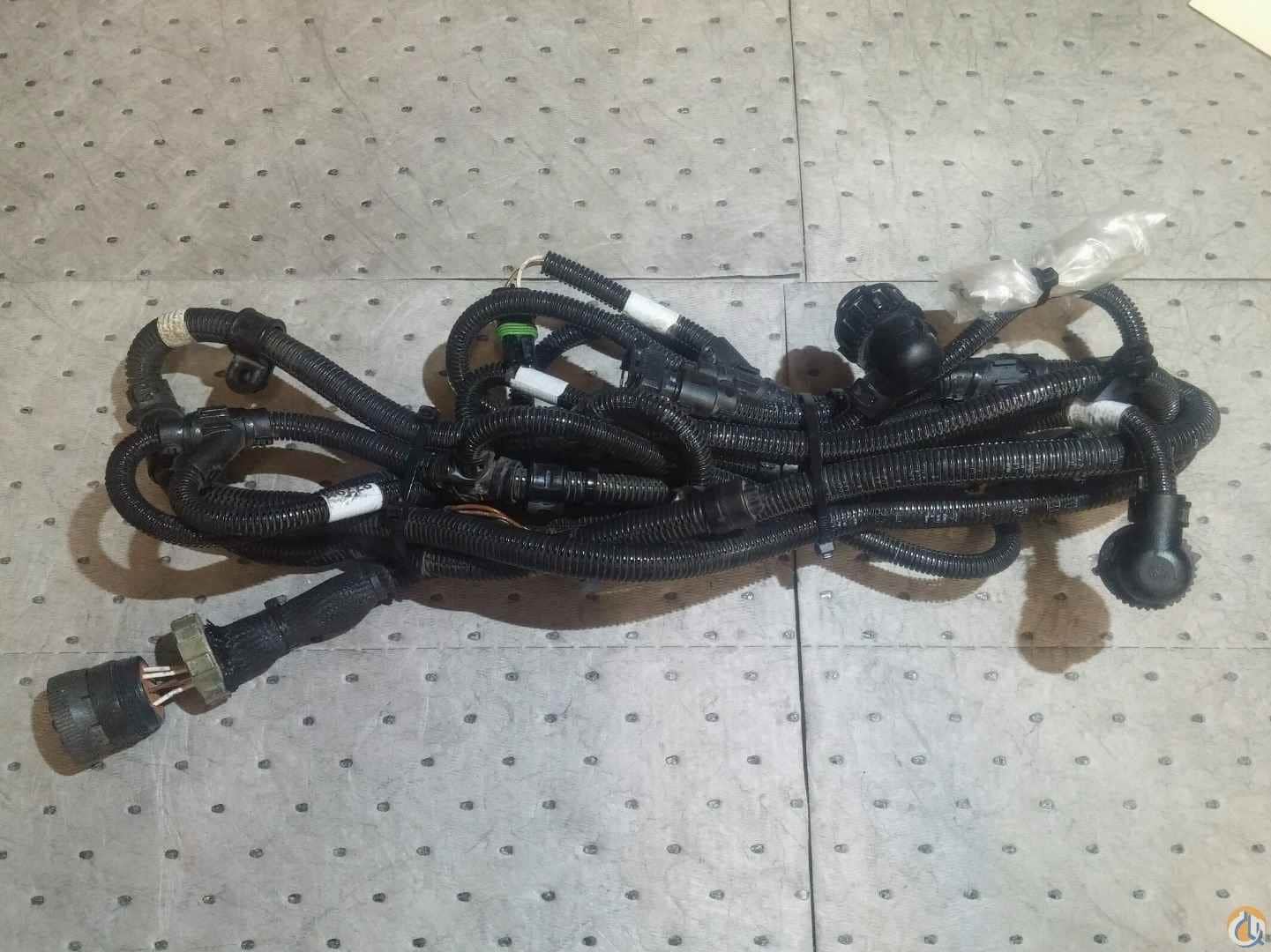 Rear Bumper Harness