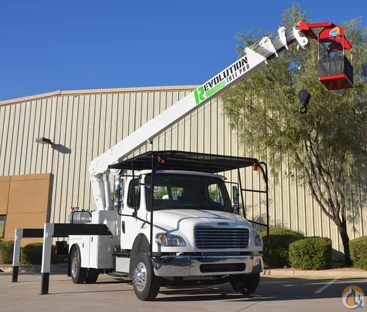 ~New TREE PRO~
