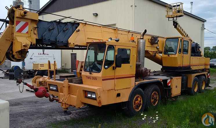 Grove TMS 300