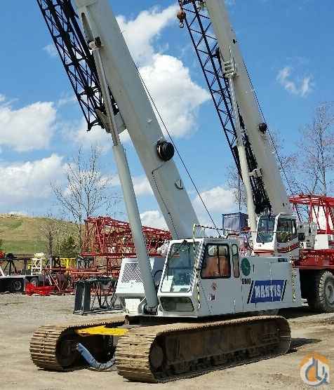 2006 Mantis 6010LP