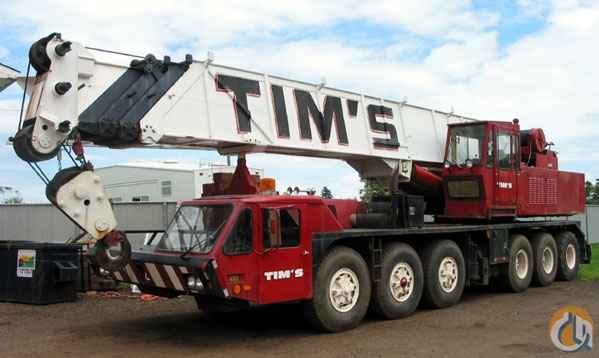 TM800