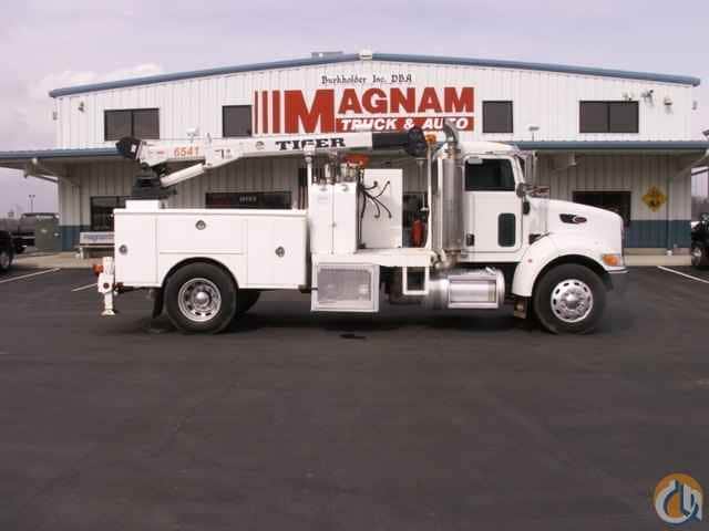 2006 Tiger 6541