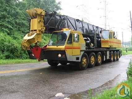 TM8100