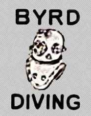 Byrd Diving