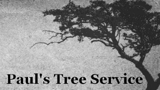Paul's Tree Service