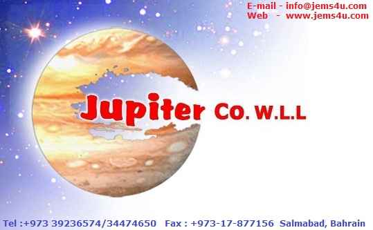 JEMS Company W.L.L logo