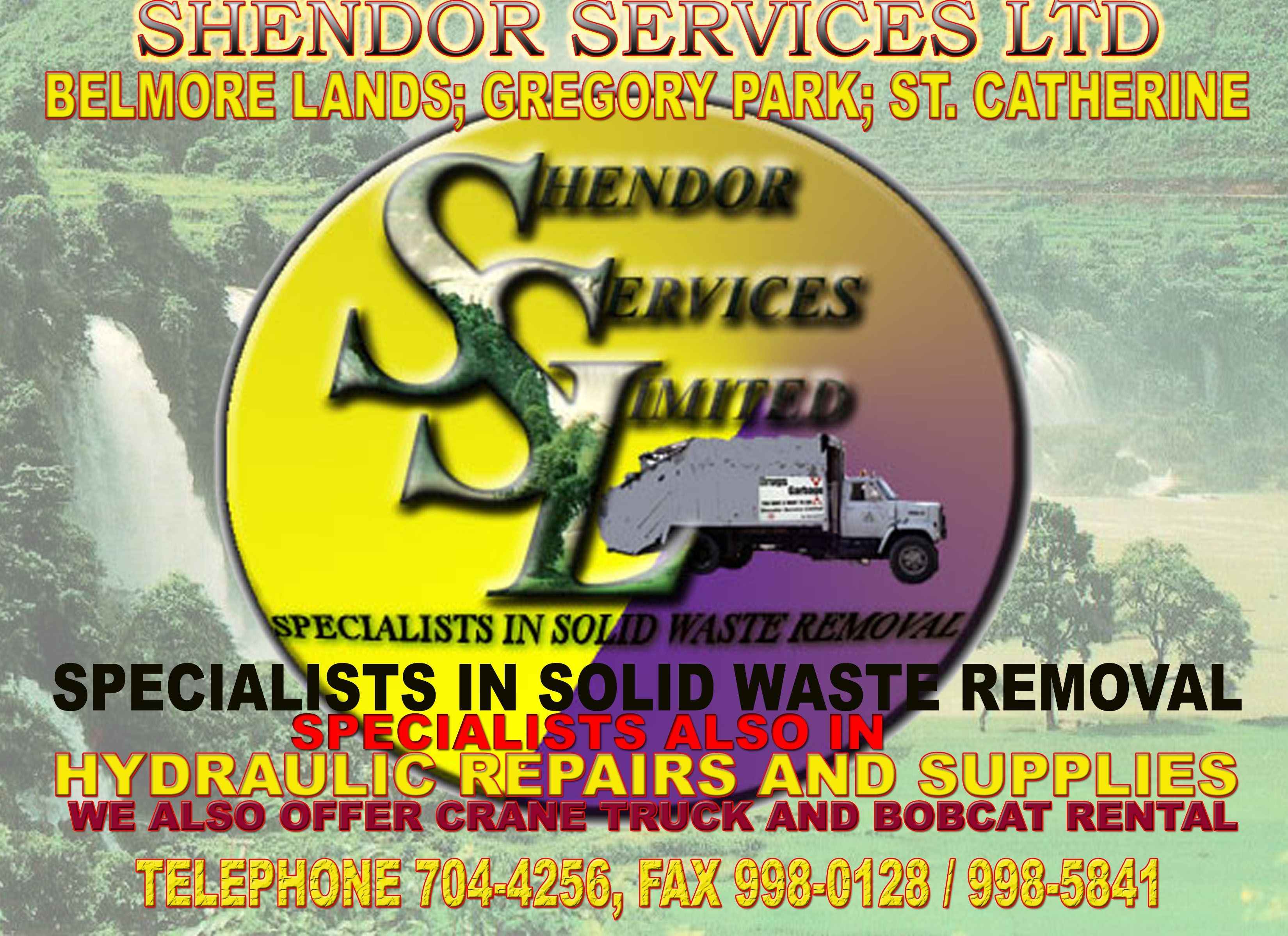 SHENDOR SERVICES LIMITED logo
