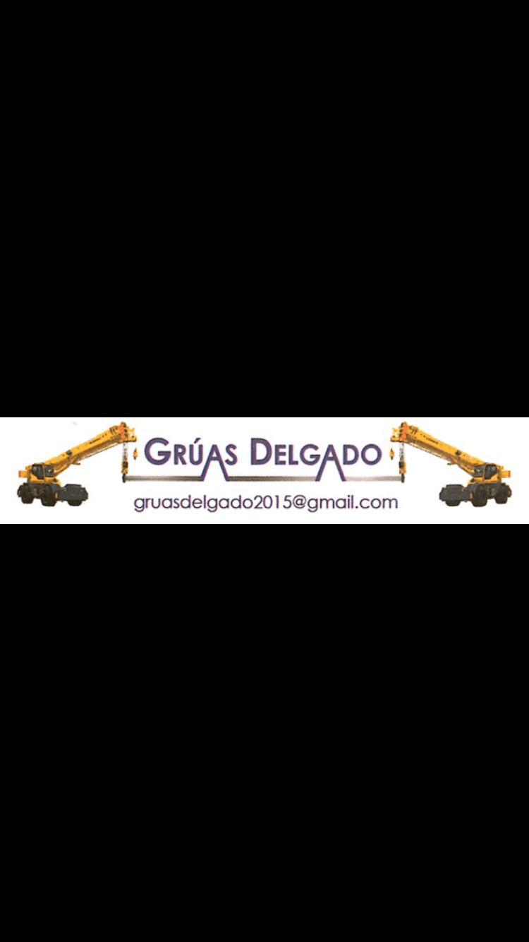 GRÚAS DELGADO  logo