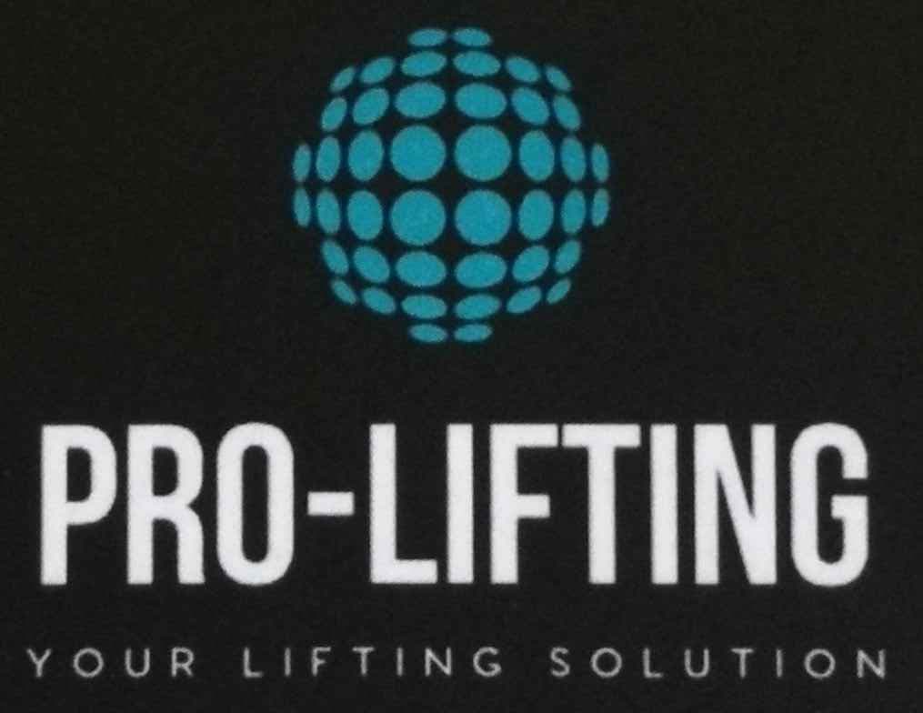 pro-lifting solution logo