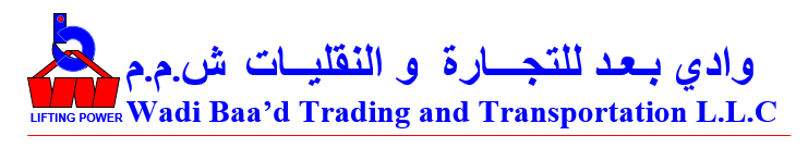 Wadi Baad Trading and Transportation LLC logo