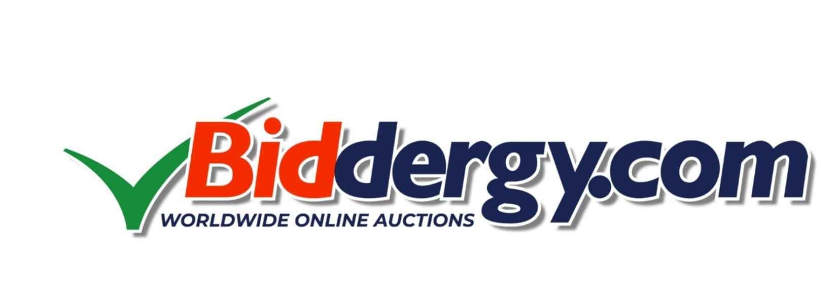 Biddergy.com logo