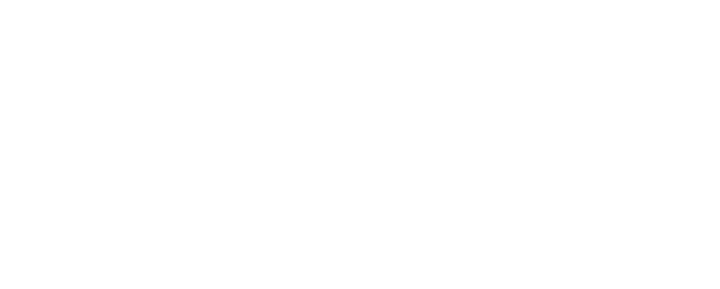 EFFCO logo
