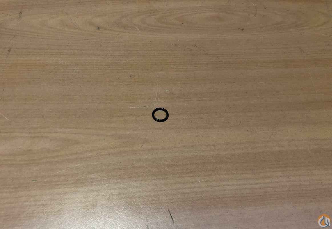 7755906002 - O-RING