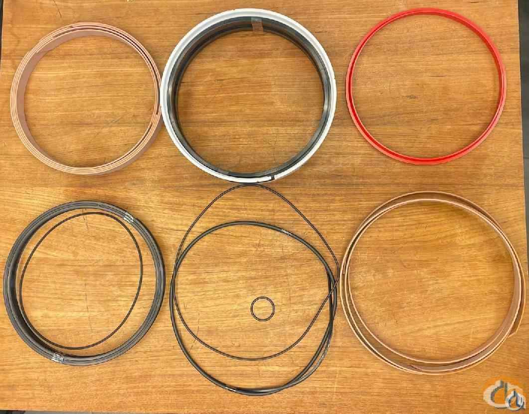 2313259 - SET OF SEALS FOR DERRICKING CYLINDER
