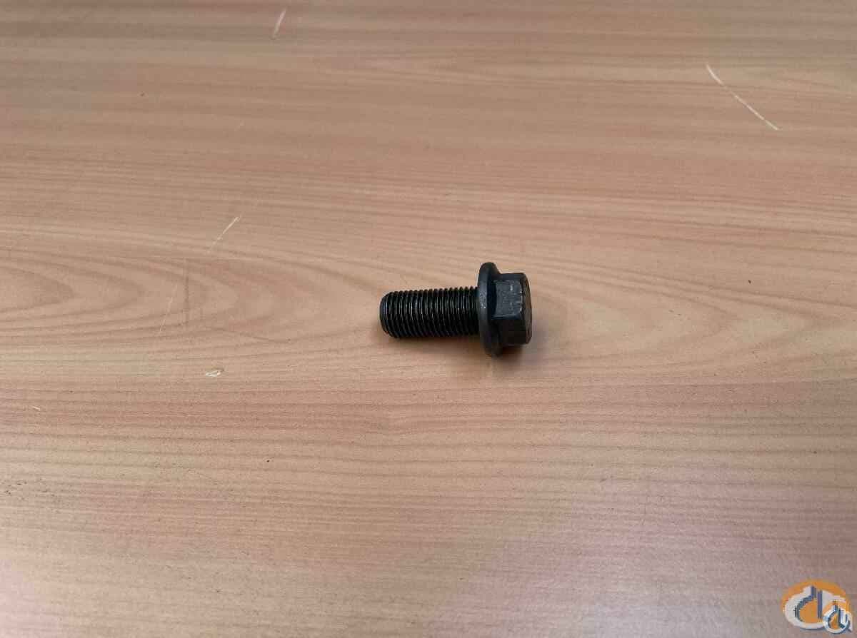 3316921 - SAFETY SCREW