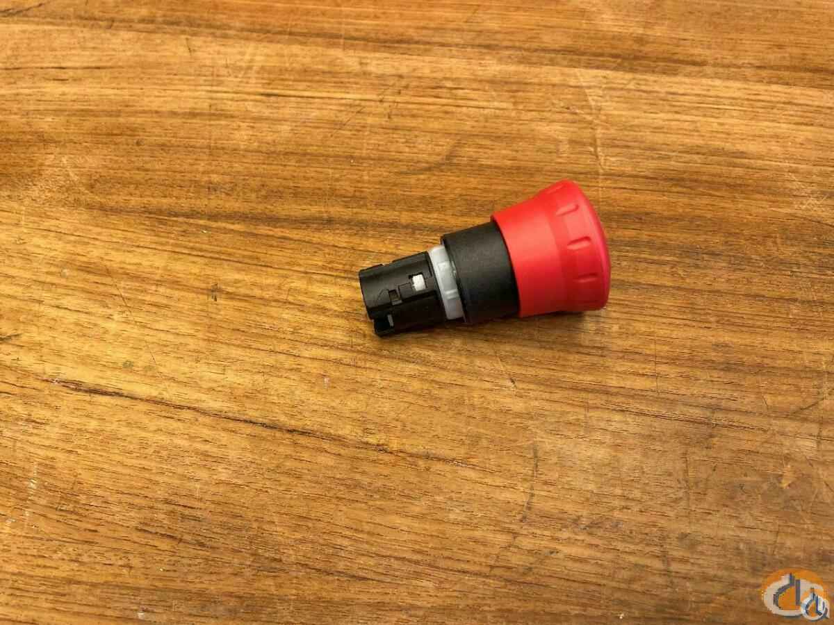 4286255 - PUSHBUTTON