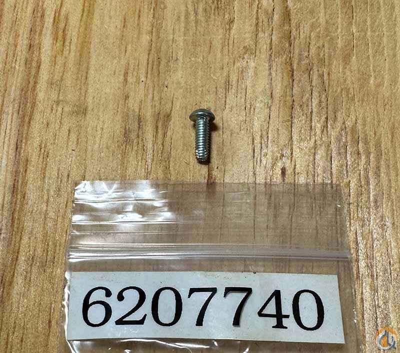 SCREW SELF TAP RD HD