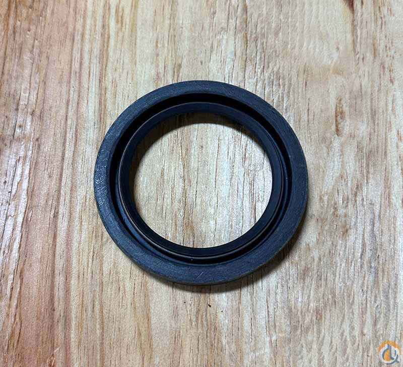 Oil Seal