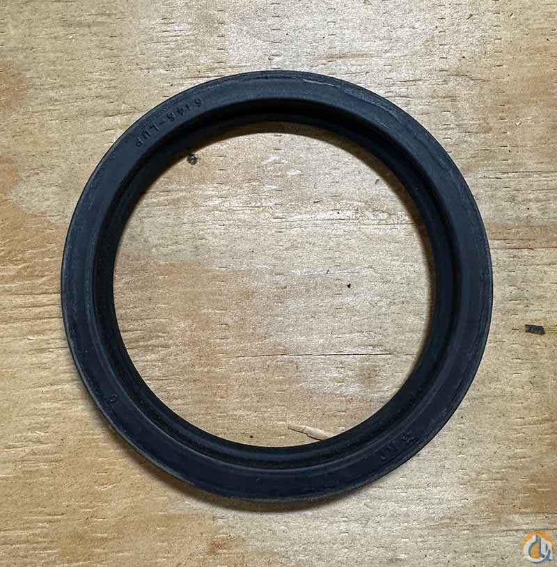Oil Seal