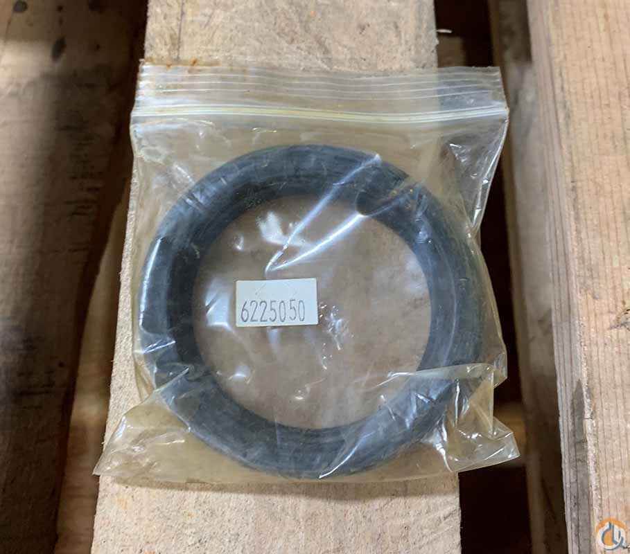 Oil Seal
