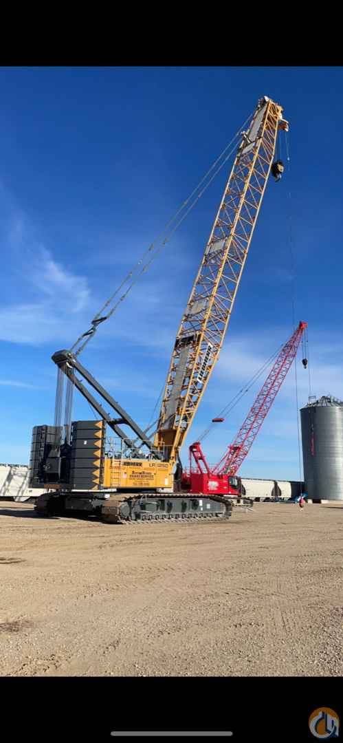 2015 Liebherr LR 1250