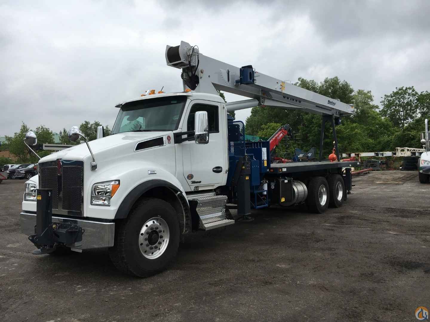 2019 MANITEX 30100C A